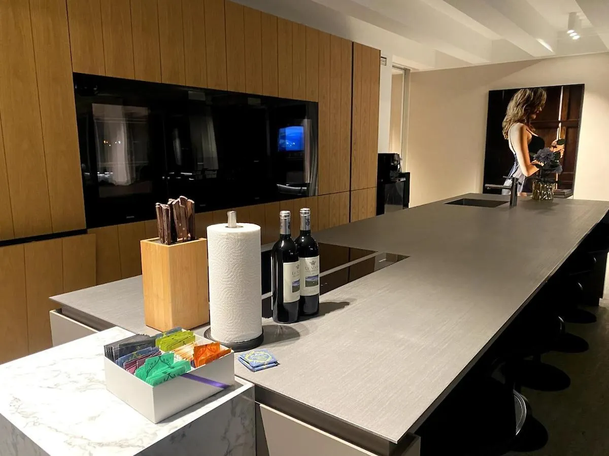 公寓 Highclass Luxury Penthouse Near Kudamm 柏林 德国